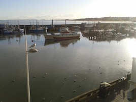 A marina with boats docked, a seagull on a buoy, and calm water.