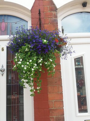 A hanging flower basket with purple and white flowers in front of a brick building with white doors and windows. - St Hilda Guest House (Bridlington)