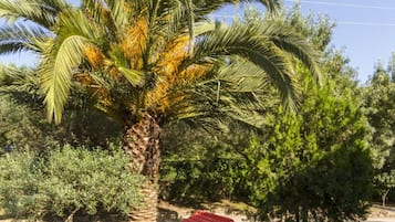 Zona de juegos infantil al aire libre