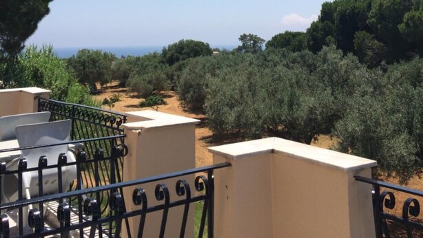 A balcony with a view of olive trees and the sea. - Koukounaries Studios (Kefalonia)