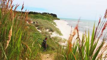 Maison, 4 chambres, non-fumeur | Vue sur la plage/l’océan