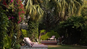 A garden with two lounge chairs and a small table, surrounded by lush greenery and flowering plants. - Kintsugi at Rangniwas (Udaipur)