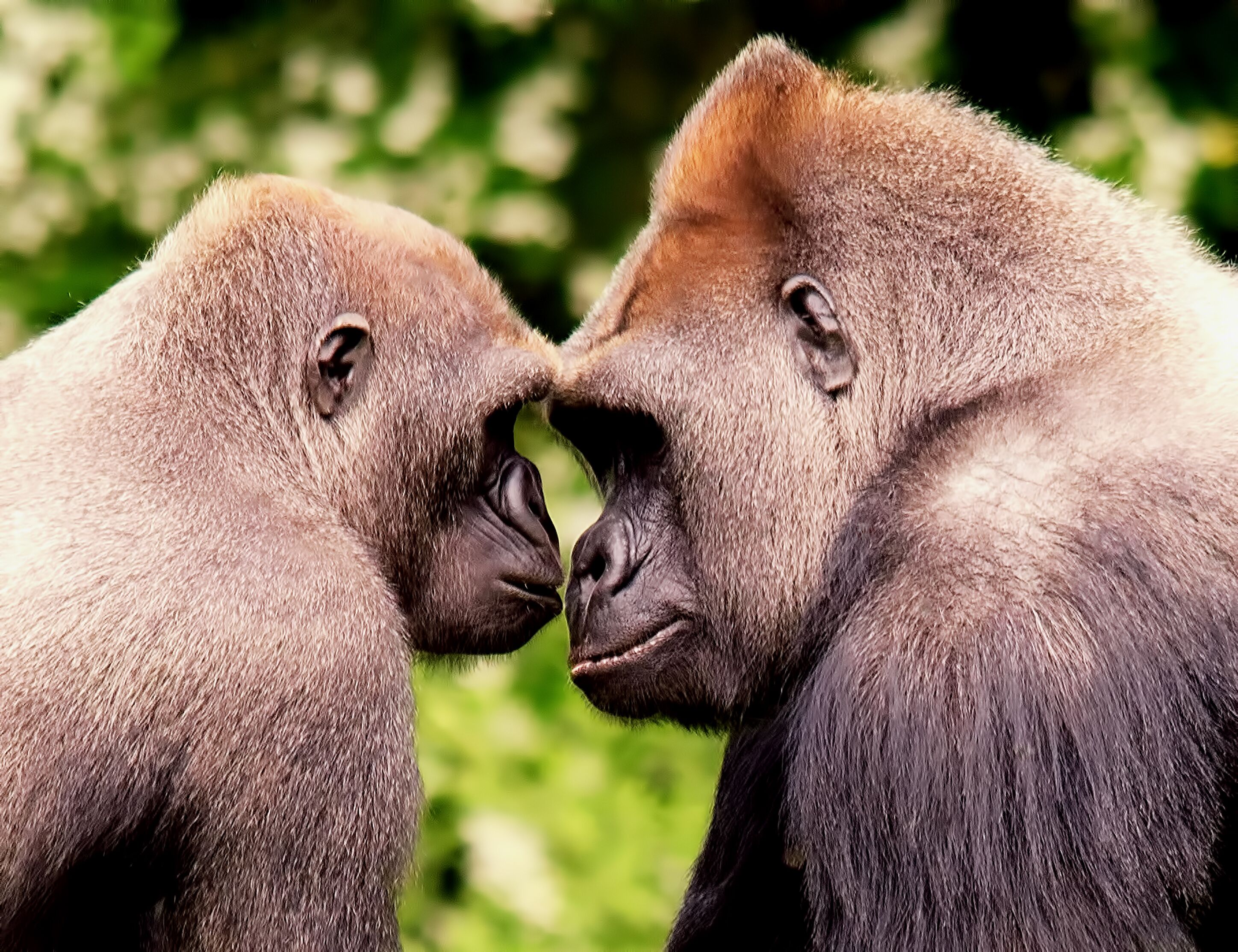 children’s activities