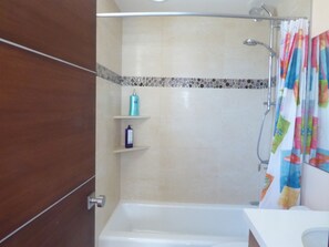 Combined shower/tub, hair dryer, towels, soap