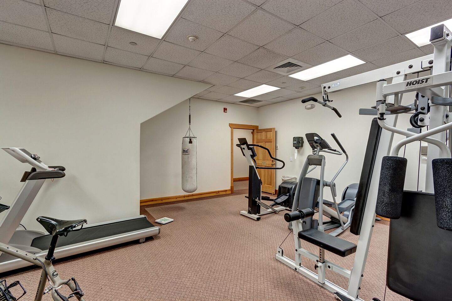 A gym with cardio equipment, weight machines, and a punching bag.