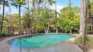A clear swimming pool surrounded by tall palm trees and dense foliage. - 8 Springfield Avenue (Coolum Beach)