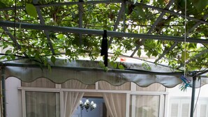 An outdoor patio with a covered seating area, a table with a bottle and glasses, and a view into the house. - Garden Central Athinian Apartments (Athens)