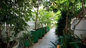 A narrow corridor with potted plants on either side, leading to a wider area. - Garden Central Athinian Apartments (Athens)