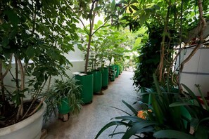 公寓 | 露台/庭院
