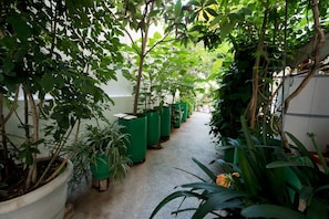 Apartment | Terrace/patio
