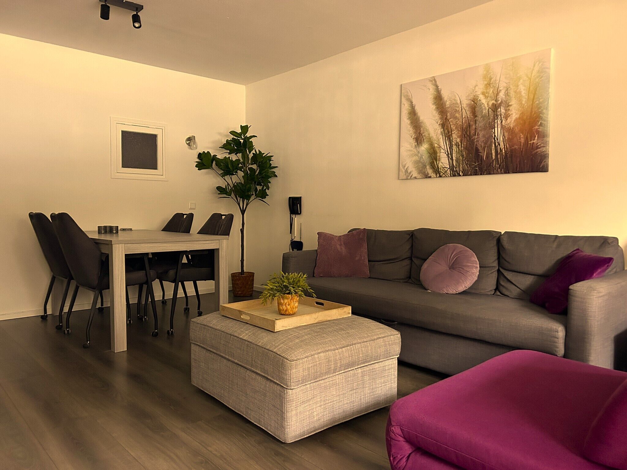 Fernseher, DVD-Player, Tischtennisplatte, Stereoanlage