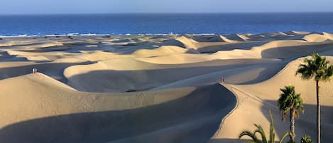 Toallas de playa