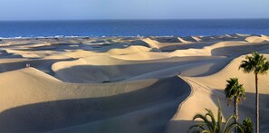 Toalhas de praia 