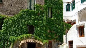 Un edificio con fachada de piedra, parcialmente cubierta de hiedra verde, una puerta de madera y un letrero.