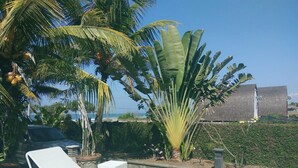Un área junto a la piscina con sillones, una palmera y vista al océano.