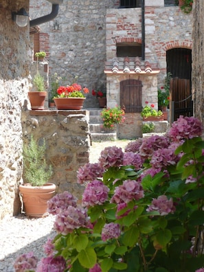 Property grounds - Agriturismo Colli di Travale (Montieri)