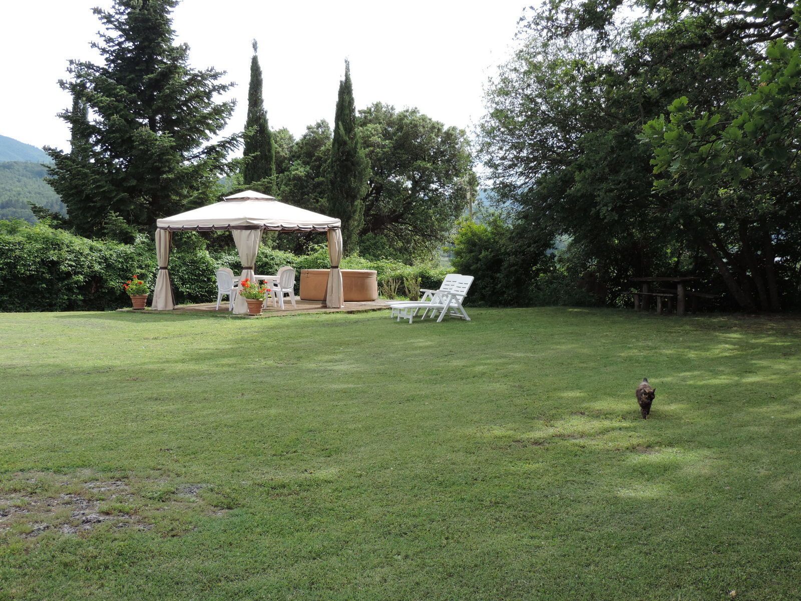 Un patio couvert, aménagé avec du mobilier d’extérieur, entouré d’une pelouse verdoyante et de nombreux arbres.