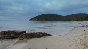 ชายหาด