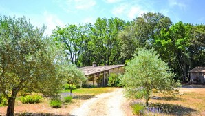 Un sendero rural que lleva a un edificio de piedra rodeado de árboles y campos de lavanda.