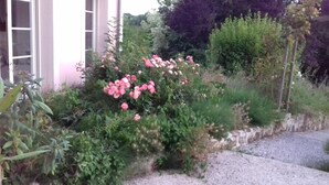 Un giardino con fiori rosa e diverse piante.