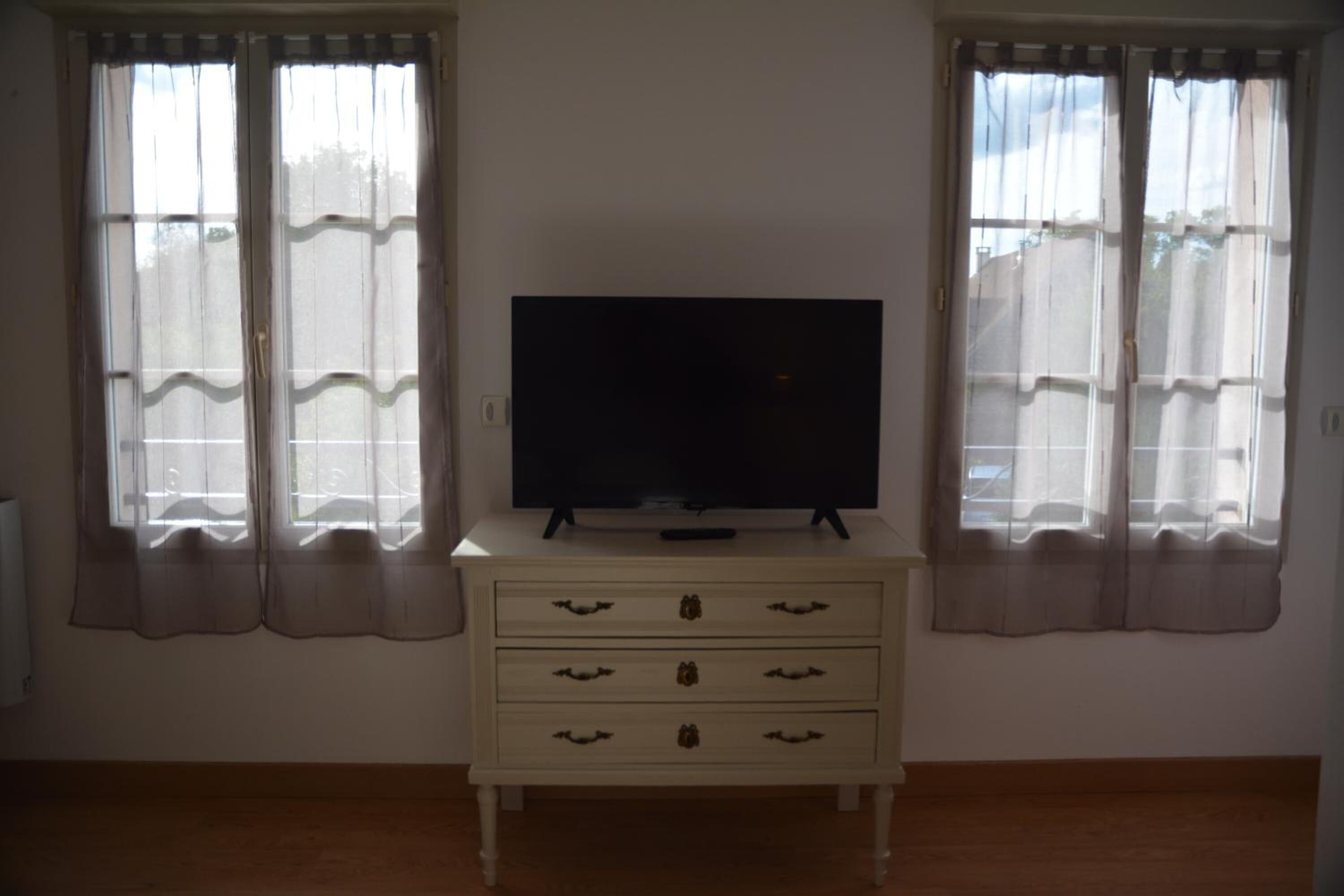 A room with a television on a dresser, two windows with curtains, and a radiator on the left.
