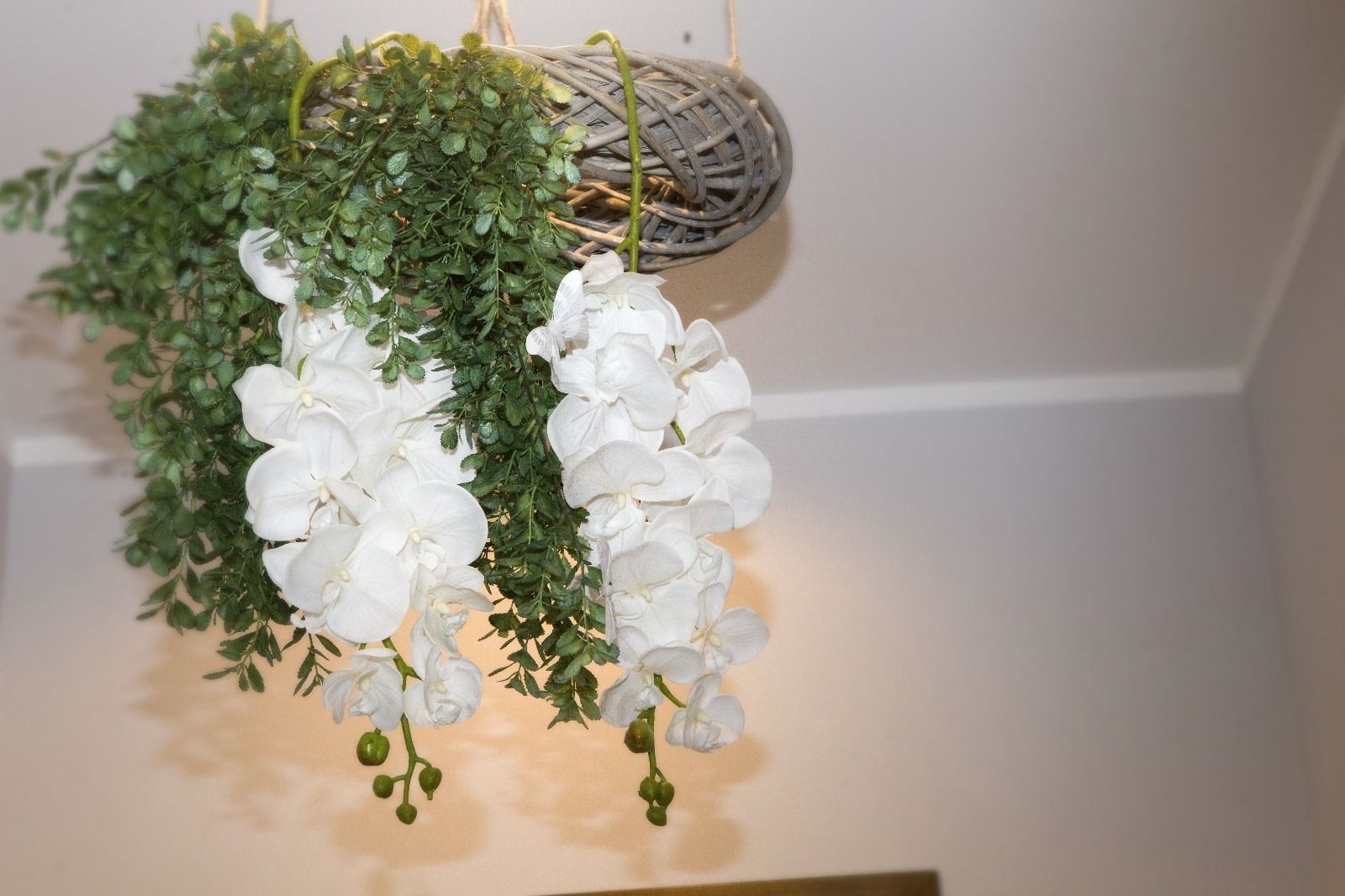 Photo - Reginella B&B Palermo