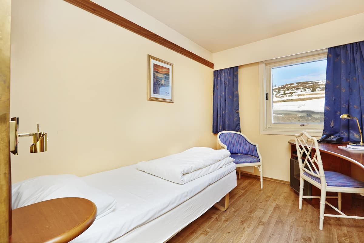 Economy Single Room, 1 Single Bed, Non Smoking | Pillow-top beds, minibar, desk, laptop workspace