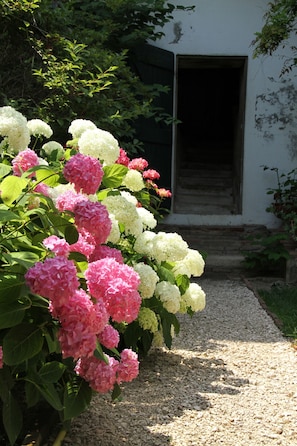 Exterior detail - Ombre Rose (Le Fousseret)