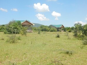 Property grounds - Nalepomara Lodge (Maasai Mara)