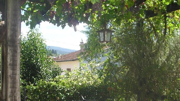 An outdoor dining area with a table and chairs, surrounded by greenery and a view of a building in the background.