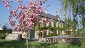 A tree with pink blossoms in front of a stone wall and a building with a green roof. - Les Chaufourniers (Crouay)