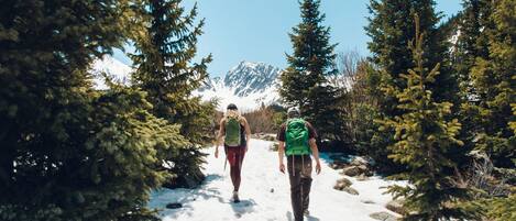 Dos personas caminando por un sendero cubierto de nieve, rodeado de árboles de hoja perenne.
