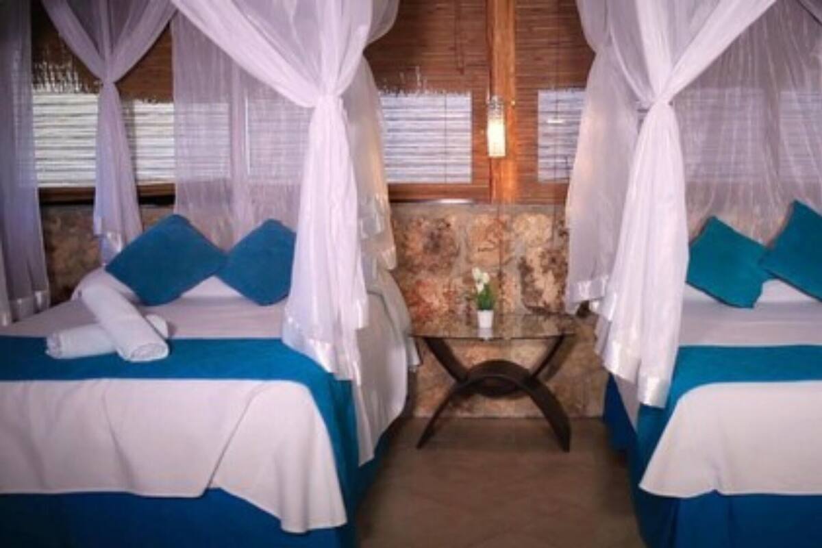 Dos camas con ropa de cama blanca y azul, una mesita con un jarrón, y una pared de piedra al fondo.