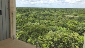 Vue depuis l’hébergement