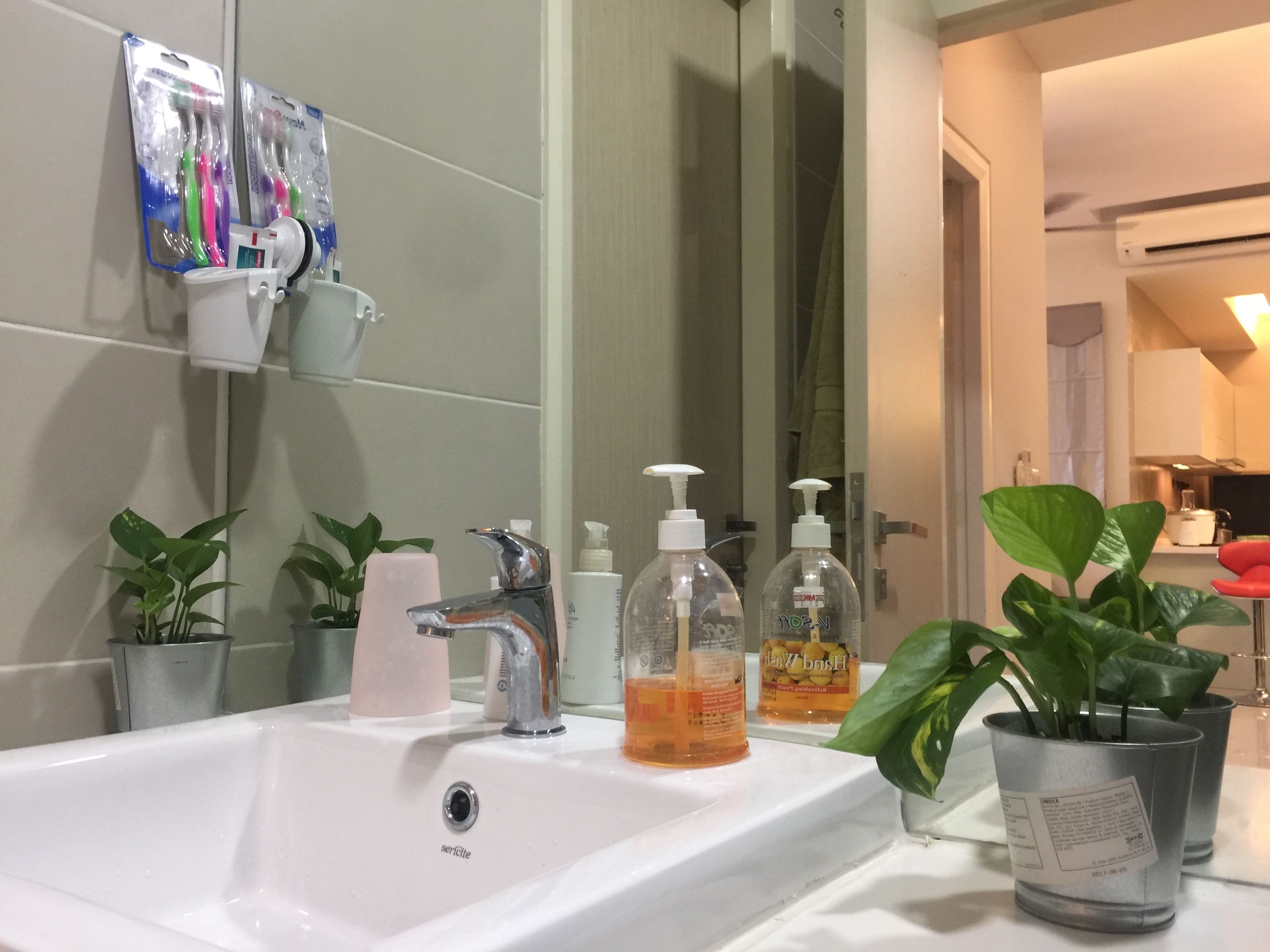 Uma casa de banho com lavatório branco, duas plantas em vasos, espelho e produtos de higiene no balcão.
