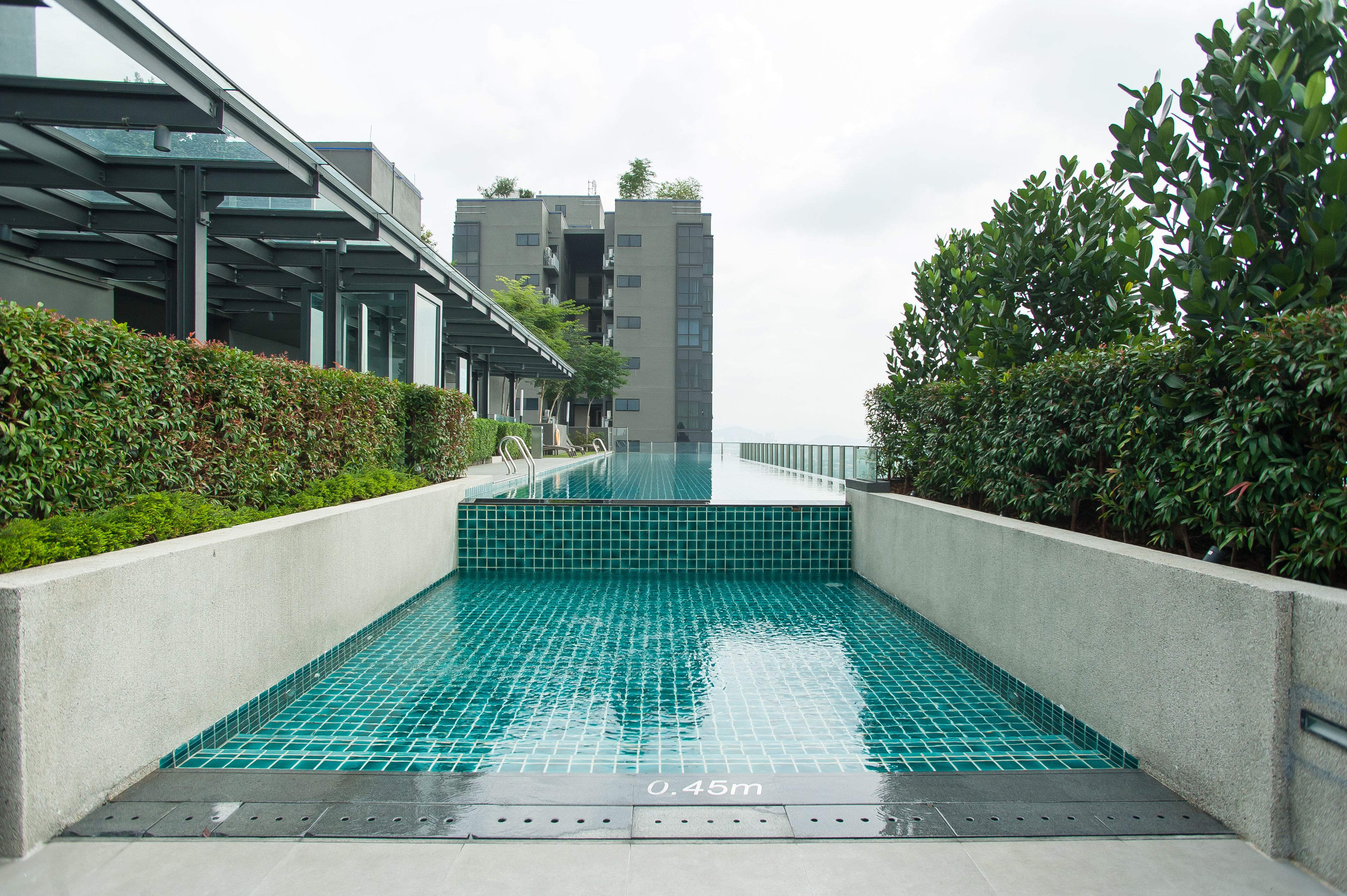 室外泳池、頂樓泳池；躺椅