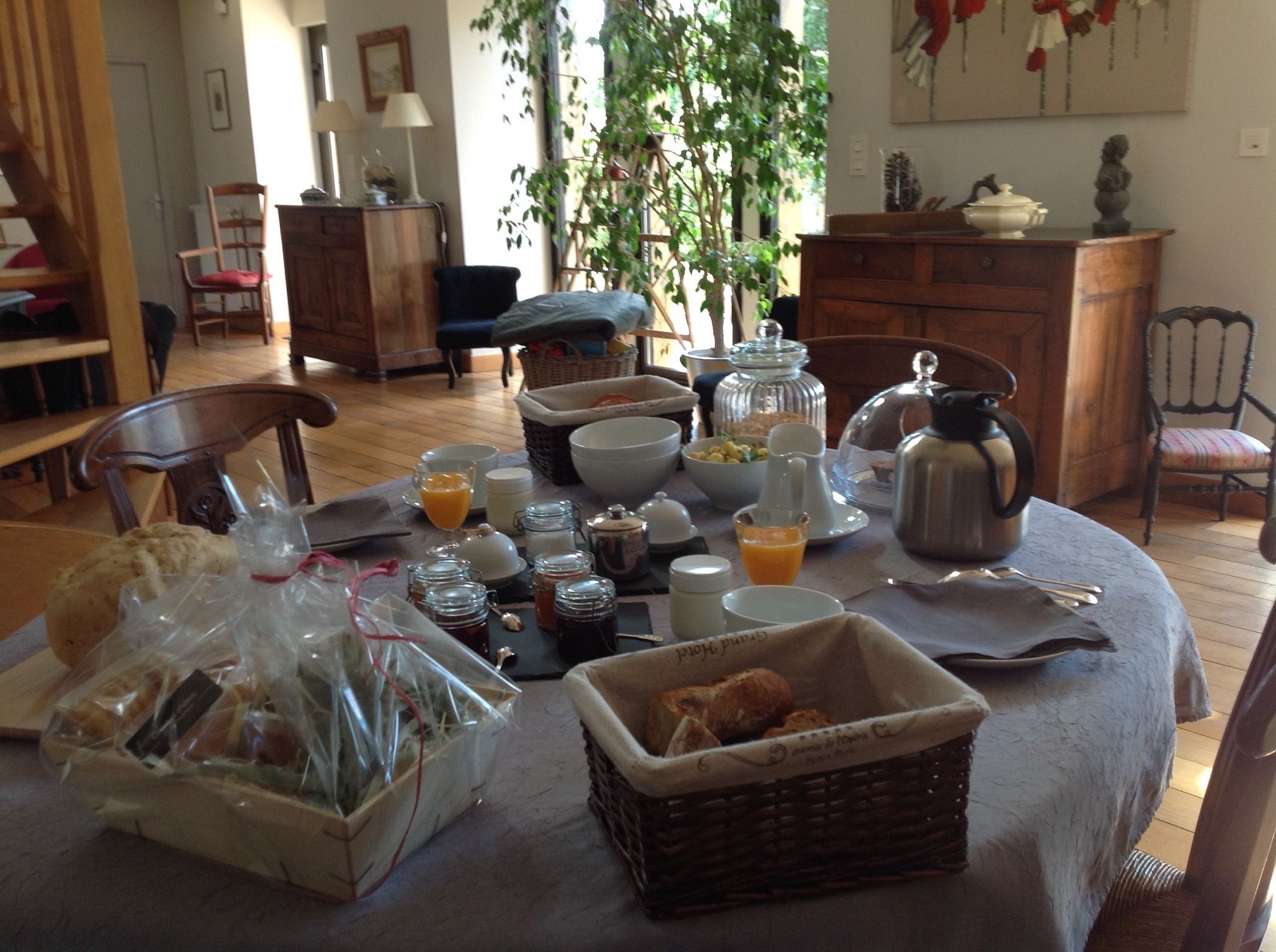 Free daily continental breakfast 