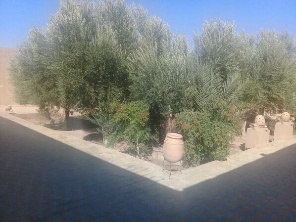 Enceinte de l’hébergement