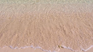 Une plage avec une eau claire et peu profonde et un rivage sablonneux.