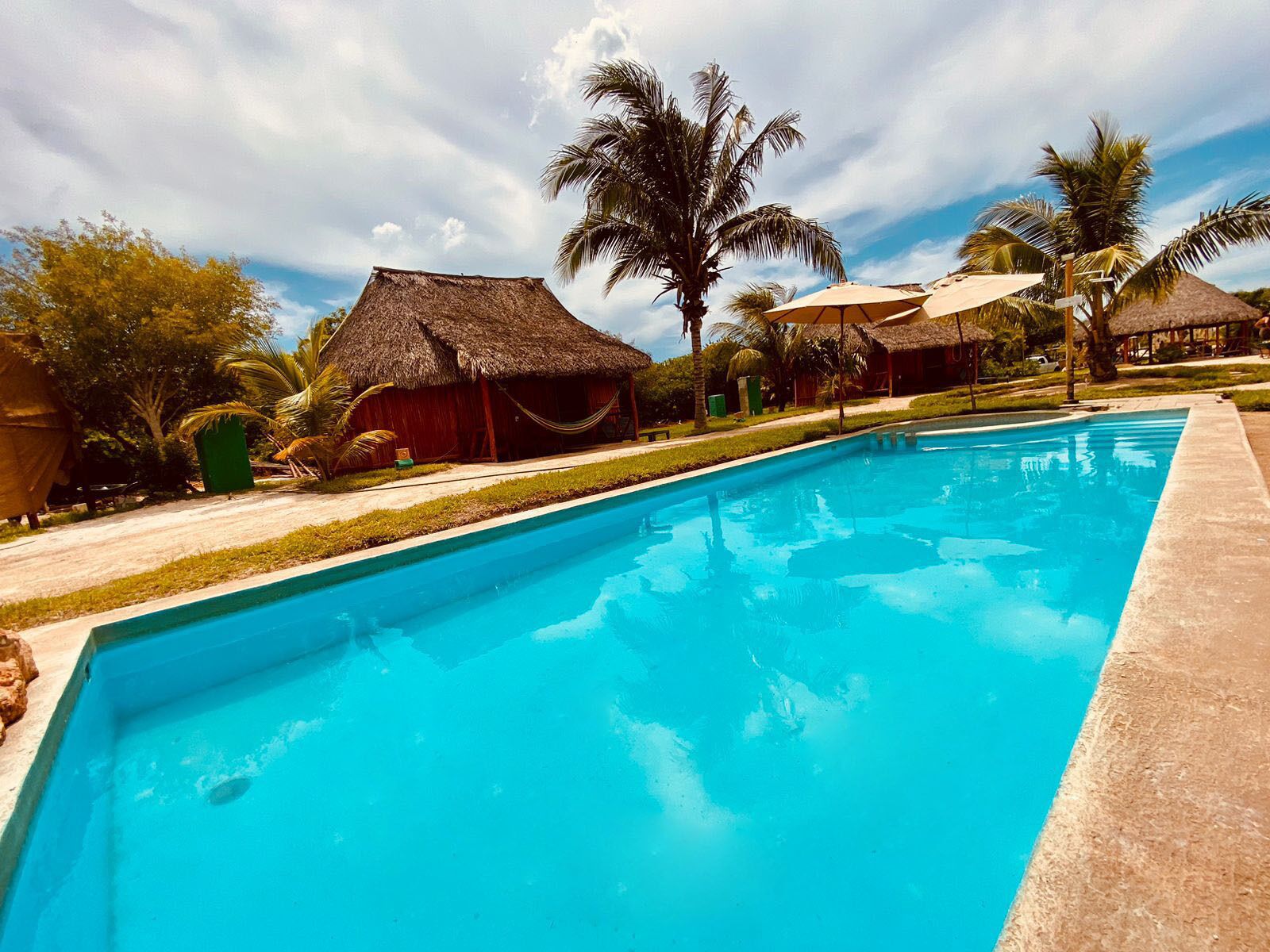 A swimming pool with a clear blue water, surrounded by thatched-roof huts and palm trees.