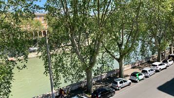 Classic Room | View from room