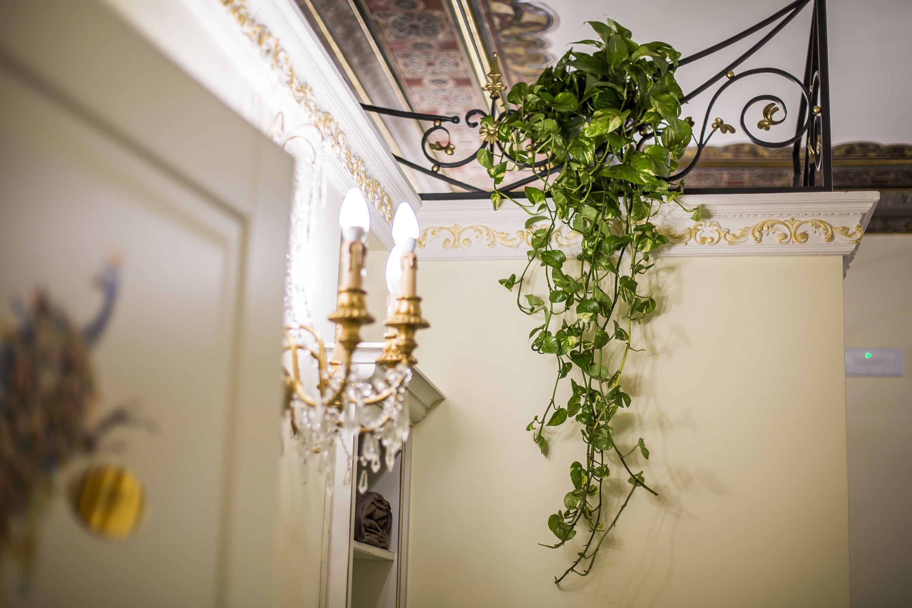 A chandelier with multiple lights, a hanging plant, and a decorative ceiling.
