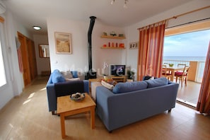 TV connectée, cheminée, lecteur de DVD