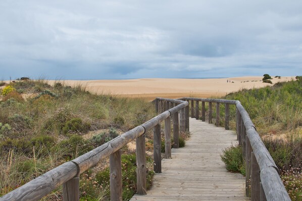 A wooden boardwalk leading to a beach with dunes and sparse vegetation.