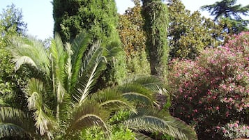 Quarto casal ou duplo, vista para o jardim | Frigobar, cofres nos quartos, escrivaninha, berços grátis