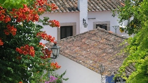 A cobblestone street flanked by buildings with white and blue walls, a narrow alley, and flowering plants.