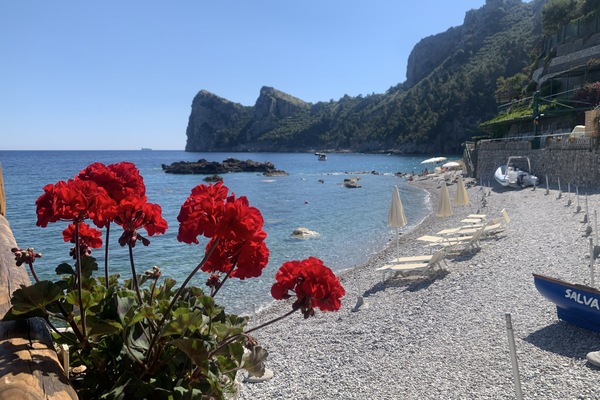 Am Strand, LiegestĂŒhle, StrandtĂŒcher