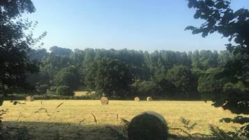 A rural landscape with hay bales scattered across a field, surrounded by trees and vegetation.