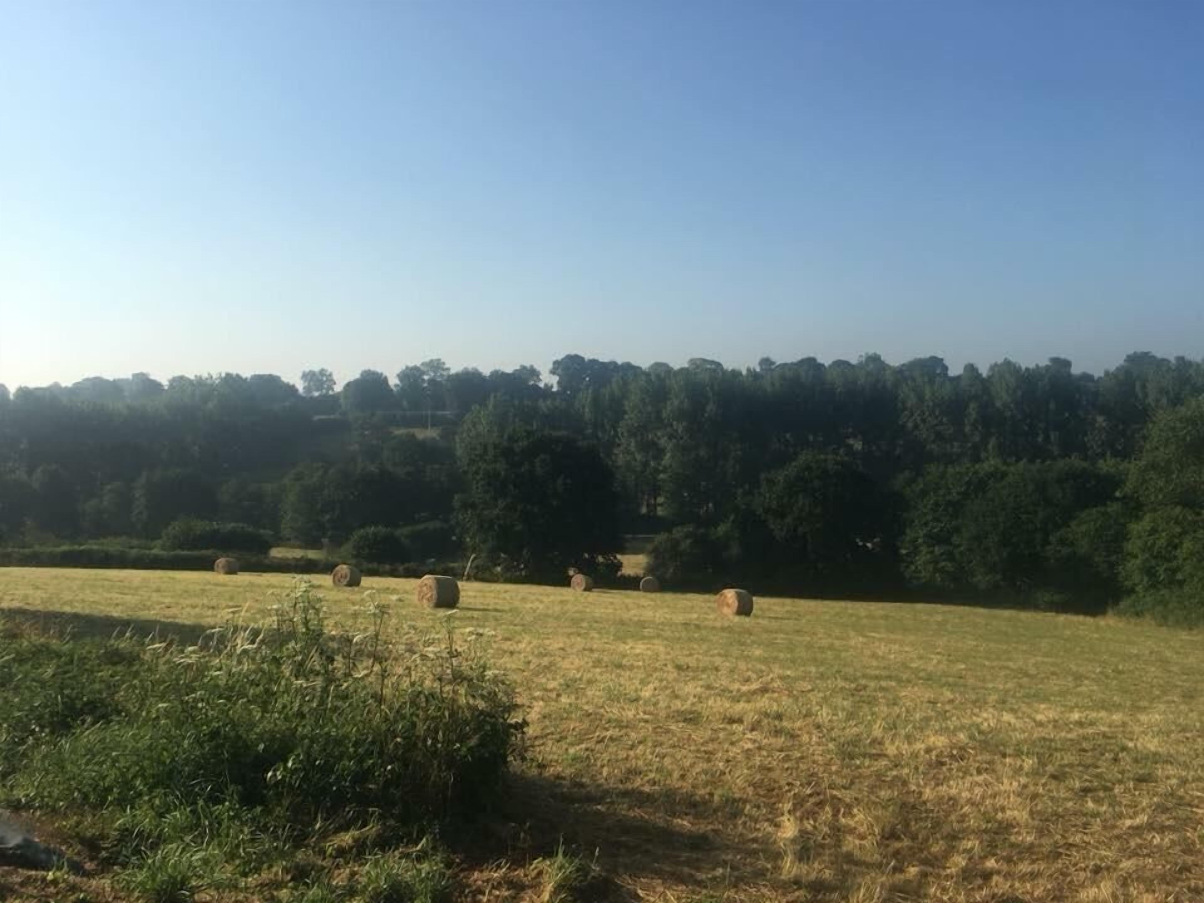 A rural landscape with hay bales in a field, surrounded by trees and a clear sky.