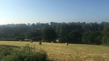 A rural landscape with hay bales in a field, surrounded by trees and a clear sky.